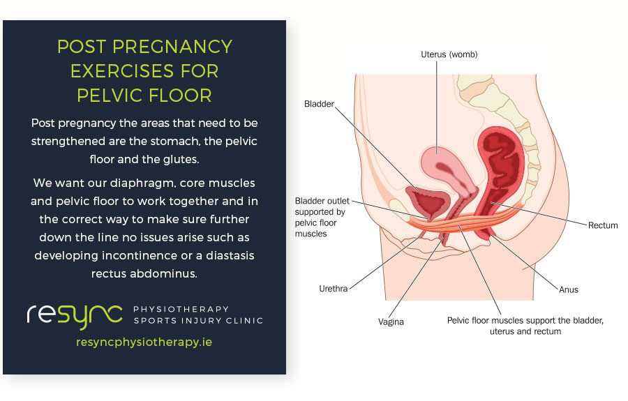 Post Pregnancy Pelvis Floor Exercises Physiotherapy Dublin